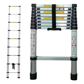 imagem 2025 01 29 102631661